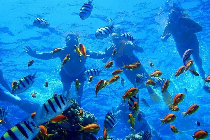 Dahab Safari: Snorkel the Three Pools & Ride Camels from Sharm el-Sheikh photo 5