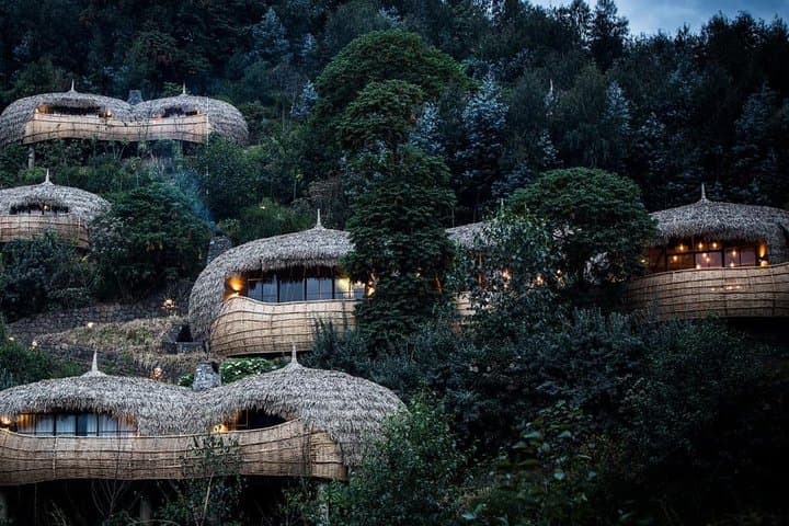 2-Day Mountain Gorilla Safari in Rwanda: Volcanoes National Park Trekking Adventure photo 5