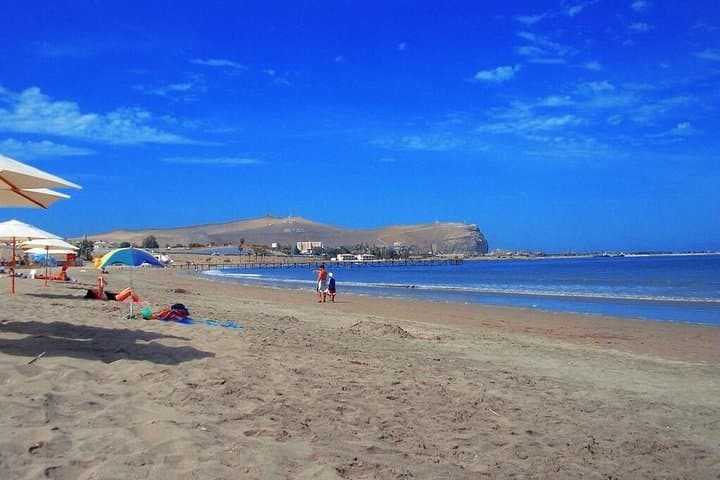 4-Day Chilean Altiplano Tour: Arica, Putre & Lauca National Park photo 5