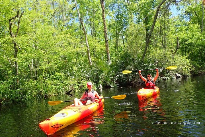 Paddle Old Florida: Self-Guided Family Kayak Rentals on Amelia Island photo 1