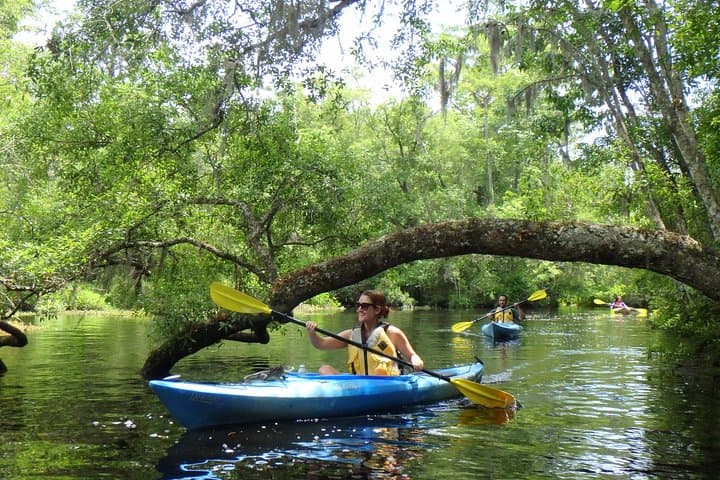 Paddle Old Florida: Self-Guided Family Kayak Rentals on Amelia Island photo 2