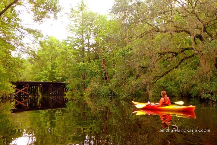 Paddle Old Florida: Self-Guided Family Kayak Rentals on Amelia Island photo 3