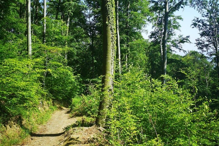 Medvednica Sljeme Hike: Zagreb Day Trip with a Local Guide