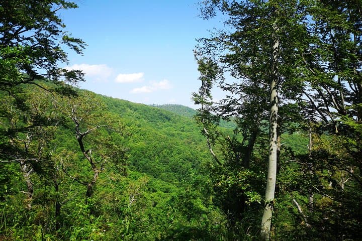 Medvednica Sljeme Hike: Zagreb Day Trip with a Local Guide photo 2