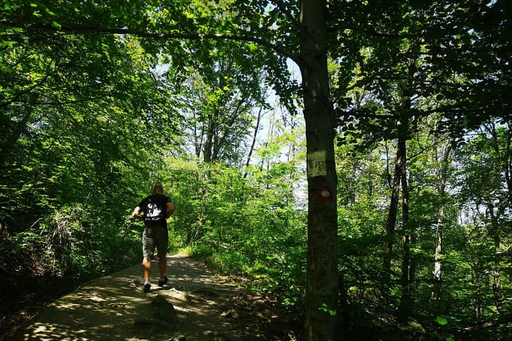 Medvednica Sljeme Hike: Zagreb Day Trip with a Local Guide photo 5