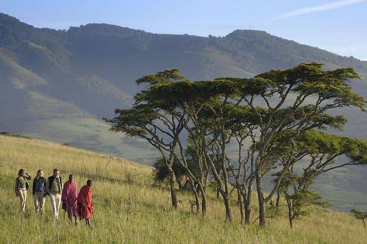 3-Day Ngorongoro, Lake Manyara & Tarangire Safari — Big Five Game Drives from Arusha photo 4