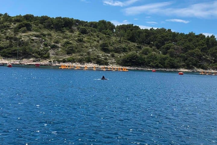 Secrets of Brac and Solta: Private Off-the-Beaten-Track Boat Tour from Split photo 5