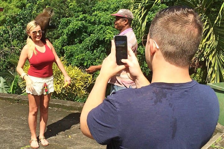Annandale Waterfall & Forest Park — Family-Friendly Grenada Day Trip Guide photo 6