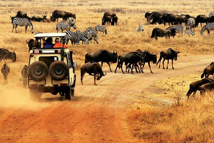 Serengeti 3-Day Lodge Safari: Big Five, Migration & Game Drives photo 2