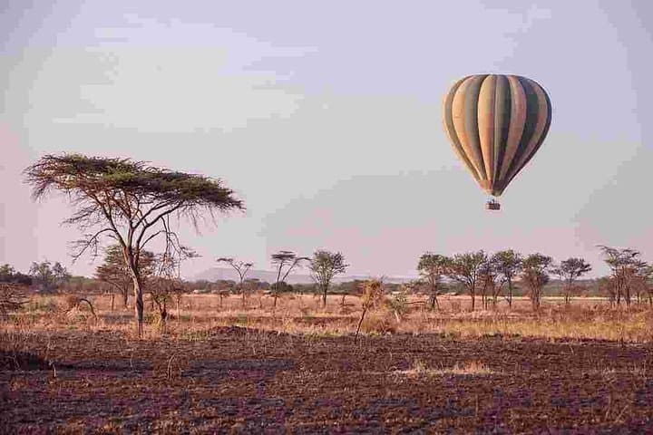 On the Track of Giants: 5-Day Safari through Serengeti, Ngorongoro, Lake Manyara & Tarangire photo 3