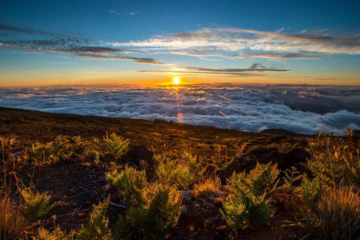 Private Haleakala Summit & Stroll from Kahului — Summit Drive, Crater Views & Cloud-Forest Walk photo 2