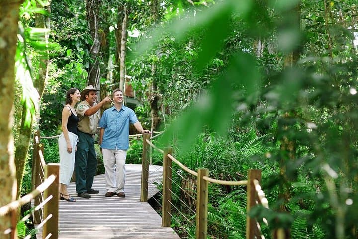 Tambopata Macaw Clay Lick — 3-Day Jungle Wildlife Experience from Puerto Maldonado photo 4