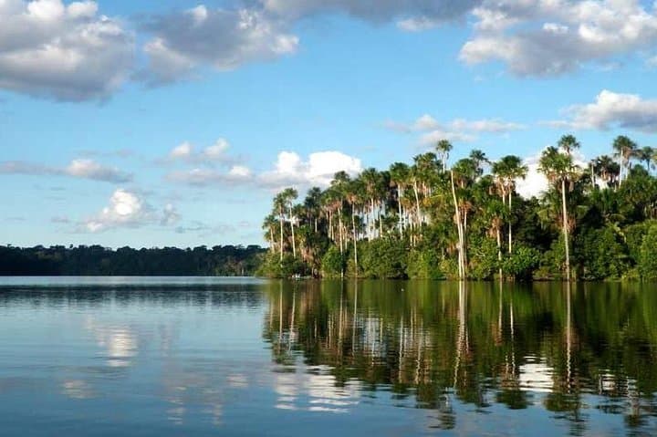Tambopata Macaw Clay Lick — 3-Day Jungle Wildlife Experience from Puerto Maldonado photo 3