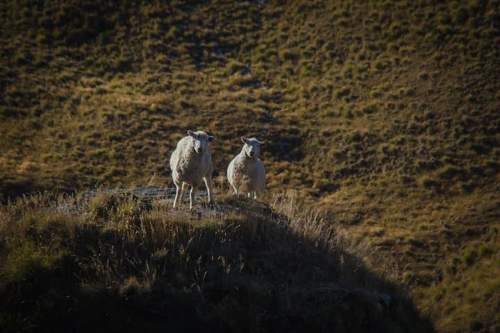 Queenstown Photography Tour: Half-Day Scenic Private Landscape Workshop photo 5