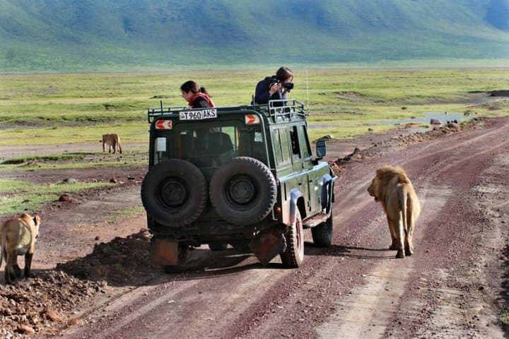 2-Day Private Safari: Lake Manyara & Ngorongoro Crater