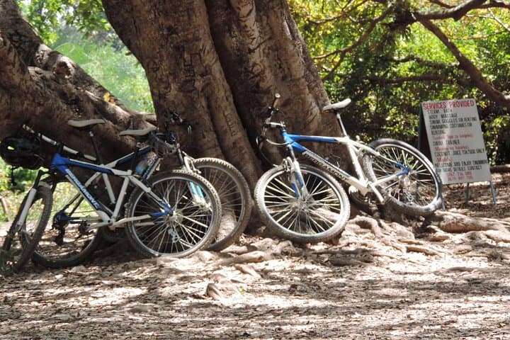 Kikuletwa (Chemka) Hot Springs Bike Tour from Moshi photo 4