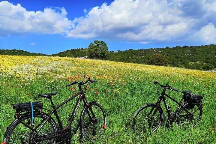 E-bike Through Alberobello and Masseria: Trulli, Mozzarella & Focaccia Tasting photo 3