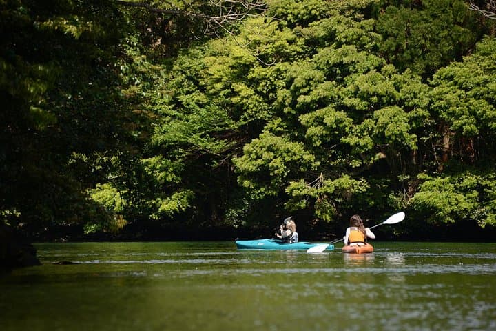 Kayaking the Anbo River: Half-Day Paddle in Yakushima's Emerald Valley photo 2