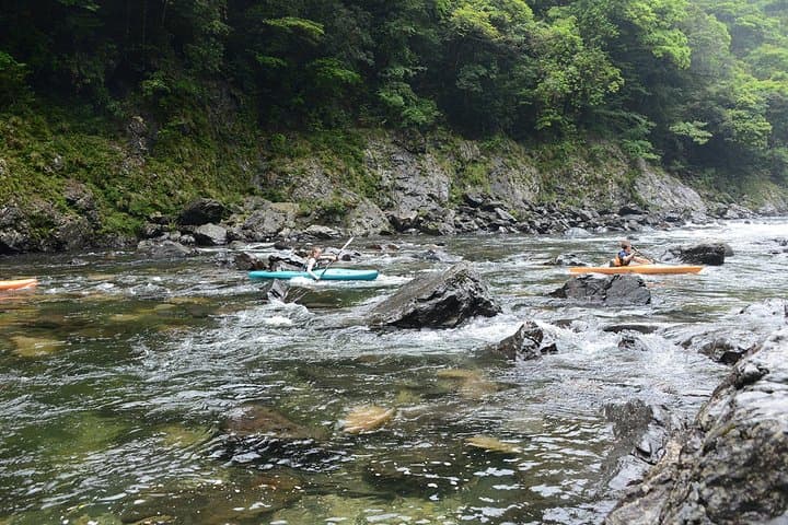 Kayaking the Anbo River: Half-Day Paddle in Yakushima's Emerald Valley photo 3