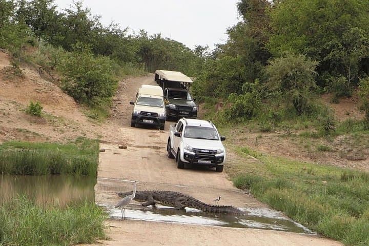 5-Day Luxury Private Safari: Serengeti, Ngorongoro & Lake Manyara photo 6