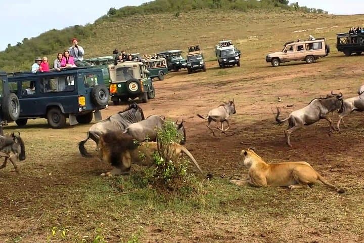 2-Day Private Safari in Tarangire & Maasai Village — Arusha Wildlife and Culture photo 5
