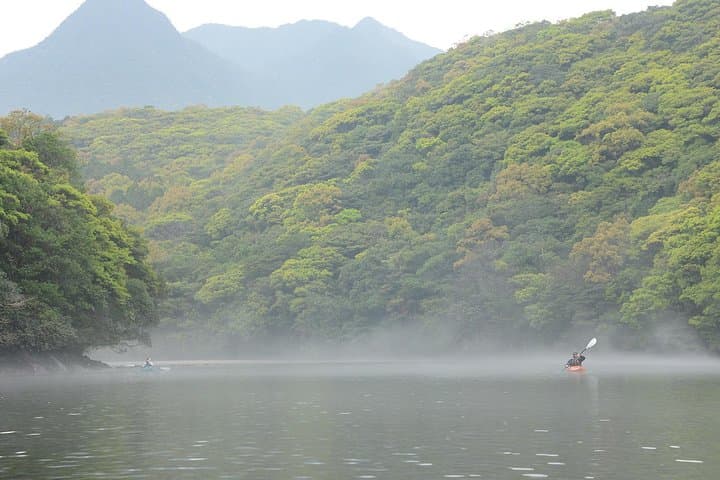 Kayaking the Anbo River: Half-Day Paddle in Yakushima's Emerald Valley photo 6