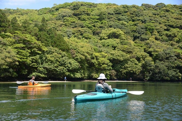 Kayaking the Anbo River: Half-Day Paddle in Yakushima's Emerald Valley