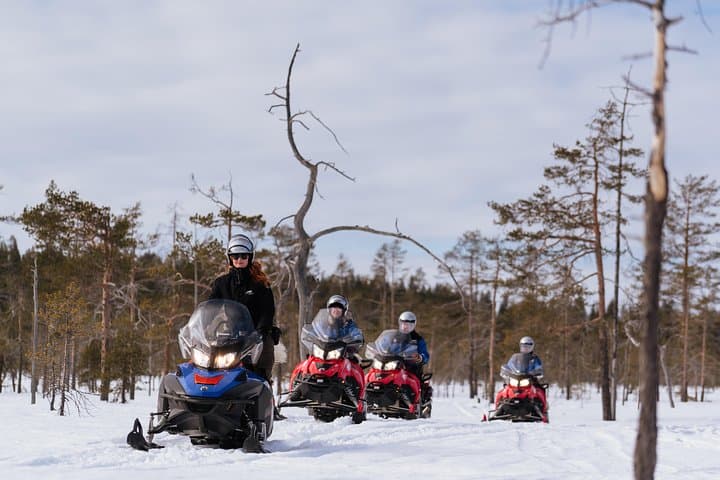 Snowmobile Safari into the Wilderness from Apukka Resort, Rovaniemi