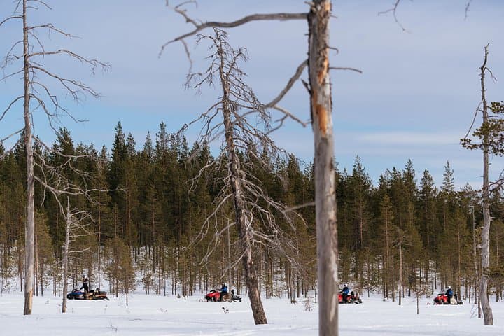 Snowmobile Safari into the Wilderness from Apukka Resort, Rovaniemi photo 2