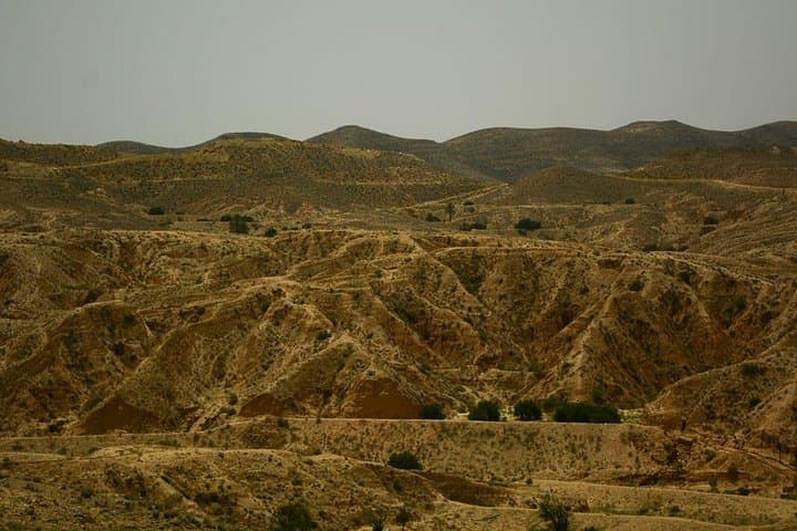 Ksar Ghilane Oasis Day Trip: Hot Spring, Dunes & Berber Homestay from Douz photo 3