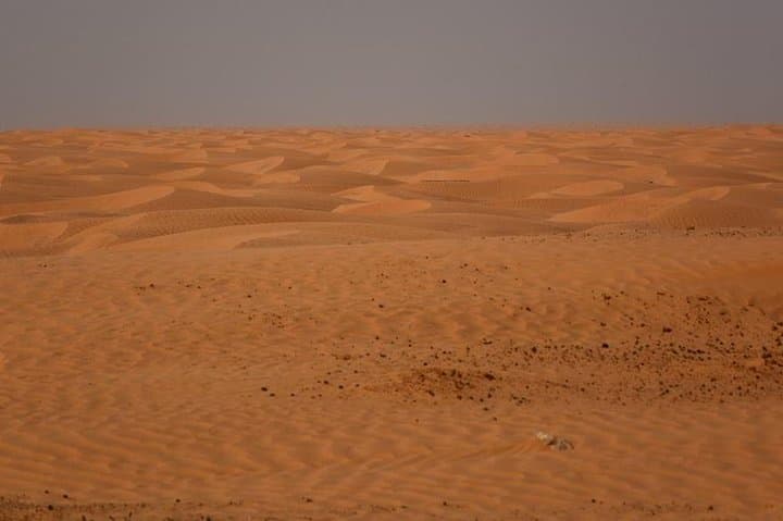 Ksar Ghilane Oasis Day Trip: Hot Spring, Dunes & Berber Homestay from Douz photo 5