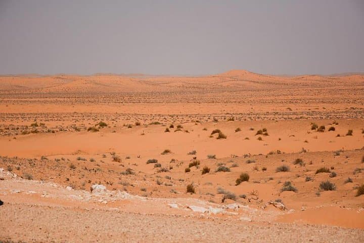 Ksar Ghilane Oasis Day Trip: Hot Spring, Dunes & Berber Homestay from Douz photo 6