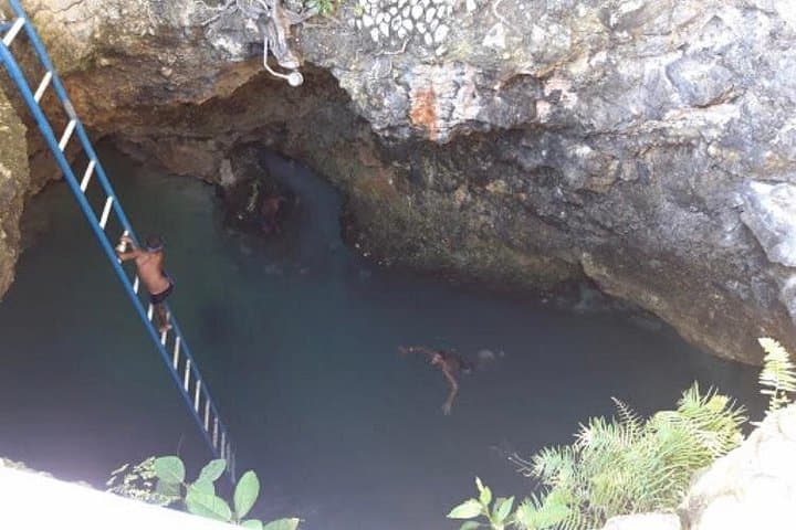 Blue Hole Mineral Spring Private Tour Near Negril — Swim, Jump & Herb Farm photo 4