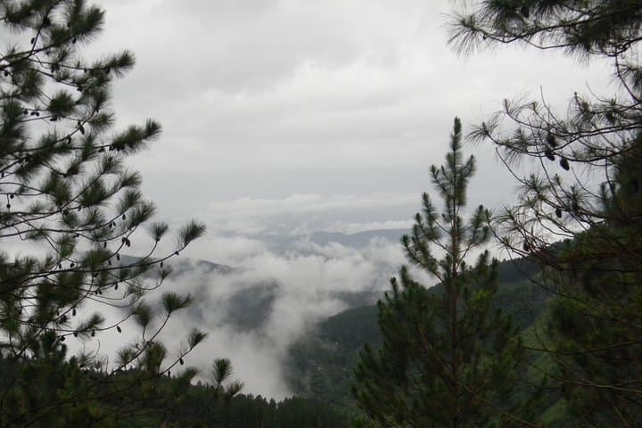 Devil's Staircase Hike: Bambarakanda Falls to Ohiya — 15 km High-Plateau Trek photo 2