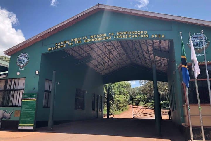 5-Day Tanzania Safari: Serengeti, Ngorongoro & Lake Manyara Big 5 Migration photo 2