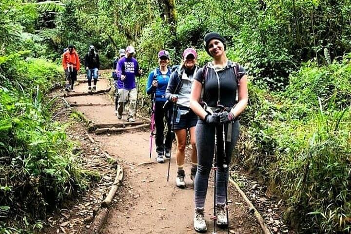 Sneak Peek to the Peak: Mt Kilimanjaro Day Hike to Mandara Hut