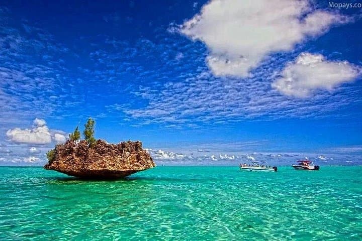 Catamaran Cruise to Ile aux Bénitiers: Dolphins, Crystal Rock Snorkel & BBQ Lunch photo 1