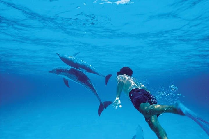 Catamaran Cruise to Ile aux Bénitiers: Dolphins, Crystal Rock Snorkel & BBQ Lunch photo 3