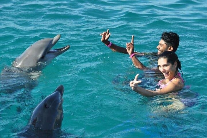 Catamaran Cruise to Ile aux Bénitiers: Dolphins, Crystal Rock Snorkel & BBQ Lunch photo 4