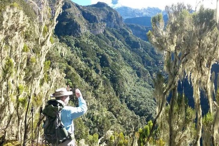 Sneak Peek to the Peak: Mt Kilimanjaro Day Hike to Mandara Hut photo 4
