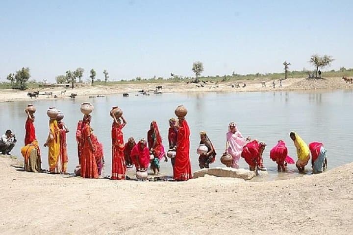 Sunset Safari and Camel Dinner in Jaisalmer's Thar Desert photo 2