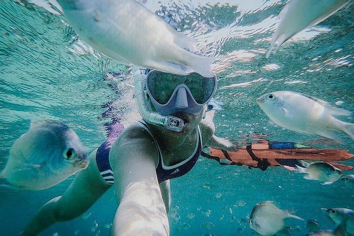 Sunset Cruise and Snorkel at Kalong Island (Komodo National Park) photo 2