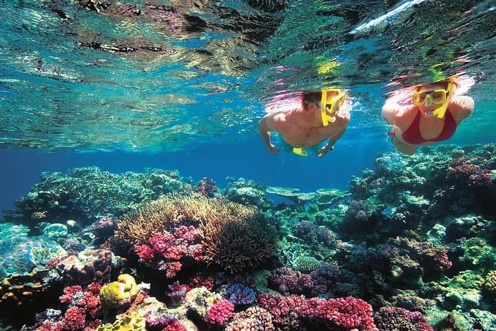 Sunset Cruise and Snorkel at Kalong Island (Komodo National Park) photo 3
