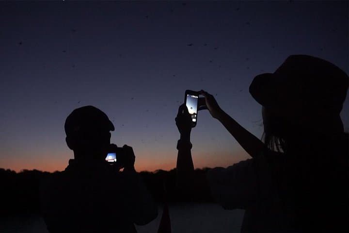 Sunset Cruise and Snorkel at Kalong Island (Komodo National Park) photo 5