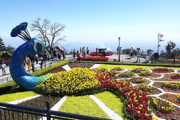 Private Ba Na Hills & Marble Mountains Day Tour from Da Nang | Golden Bridge Experience photo 2