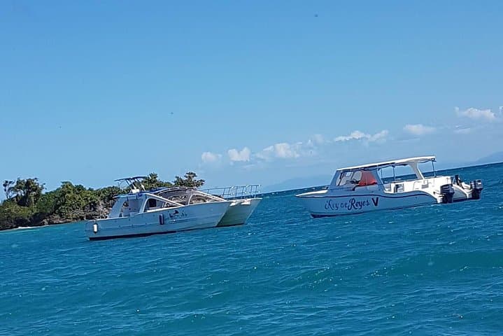 Whale Watching in Samaná Bay: Winter Humpback Expeditions from Puerto Plata photo 5
