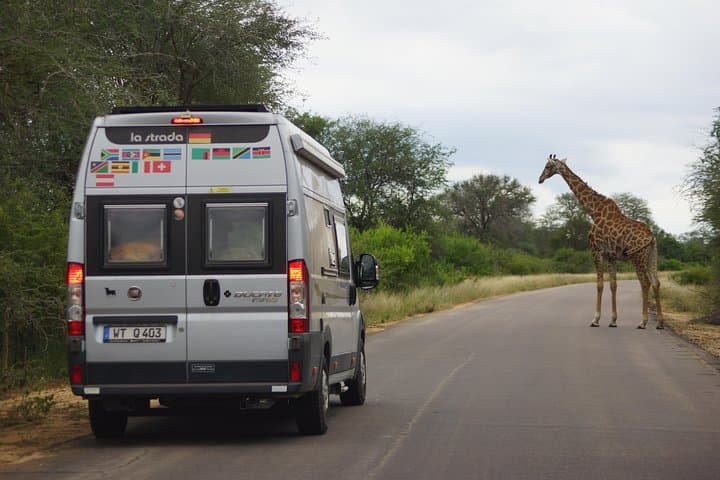 Open-Back Kruger Day Safari from Maputo — Big Five & Crocodile River Views photo 3