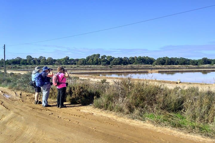 Great Bustard Adventure: 8-Day Self-Guided Birding from Monte Gordo