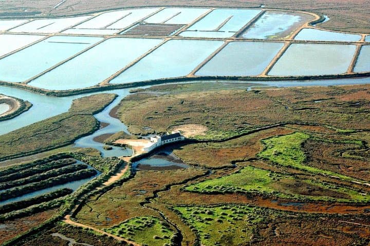 Great Bustard Adventure: 8-Day Self-Guided Birding from Monte Gordo photo 2