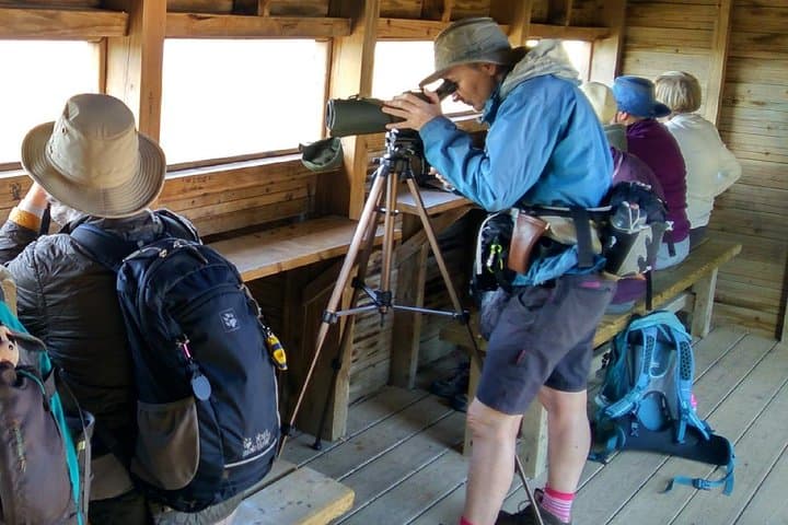 Great Bustard Adventure: 8-Day Self-Guided Birding from Monte Gordo photo 3